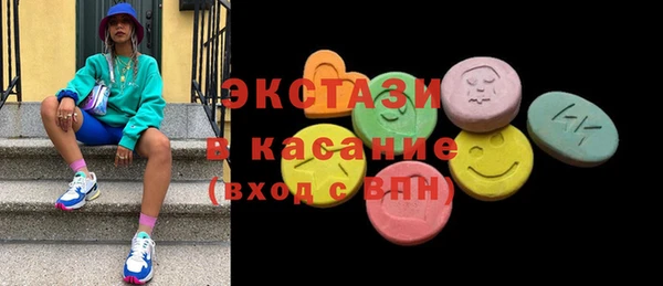 ECSTASY Богородицк